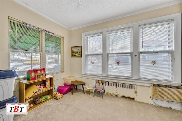 rec room featuring radiator, a wall mounted air conditioner, carpet, crown molding, and a textured ceiling