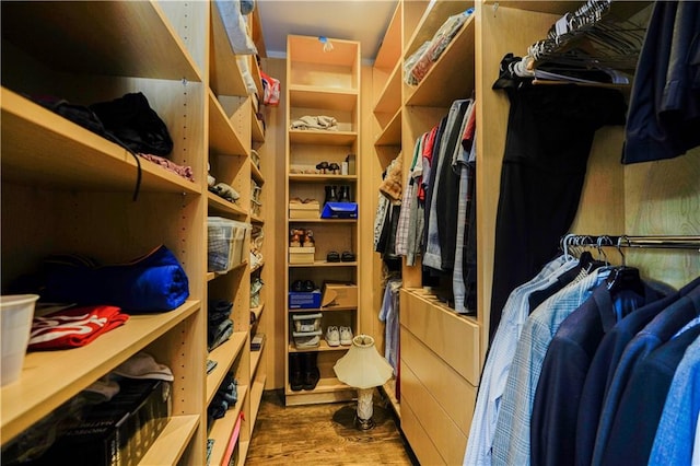 spacious closet featuring wood finished floors