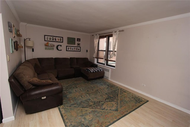 2212 Plumb 1st St Unit 1C, Brooklyn, NY 11229 - living room with wood finished floors, ornamental molding, and radiator