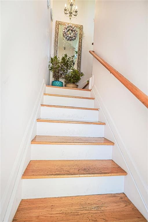 staircase featuring wood finished floors