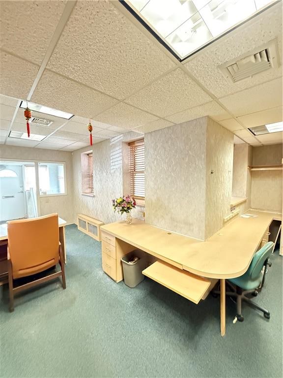 interior space featuring carpet floors, a drop ceiling, and visible vents