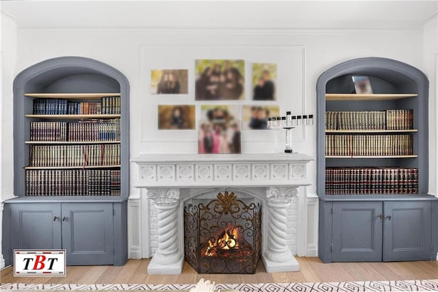 1503 E 22nd St, Brooklyn, NY 11210 - living room featuring light wood finished floors, ornamental molding, and a warm lit fireplace