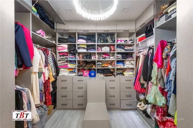 spacious closet with wood finished floors