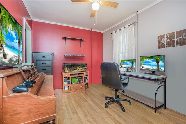 office with wood finished floors, a ceiling fan, and crown molding