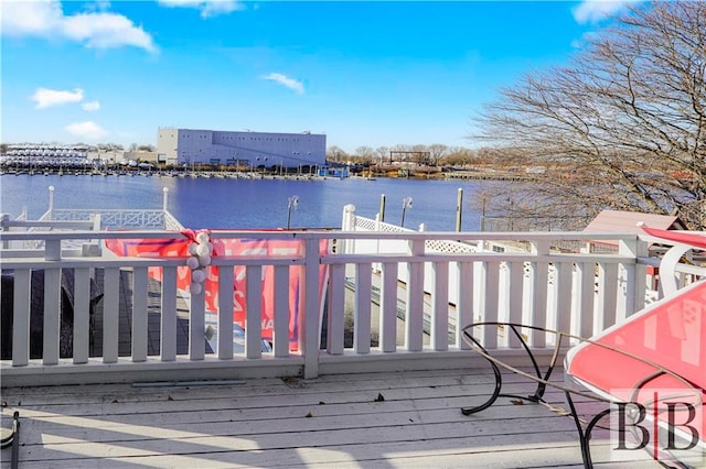 dock area with a water view