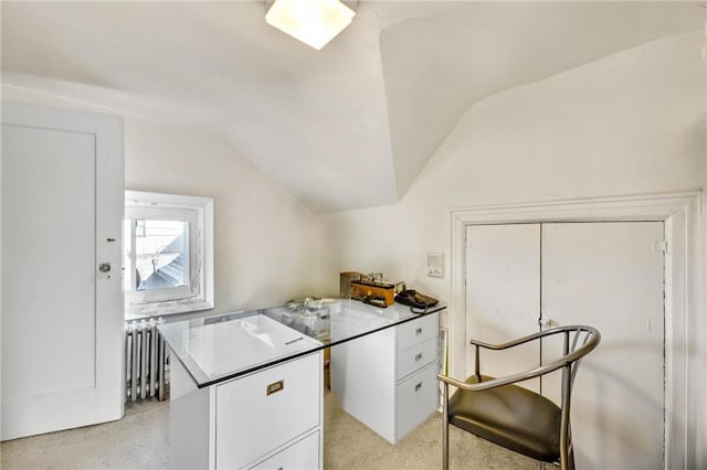 office with radiator and vaulted ceiling