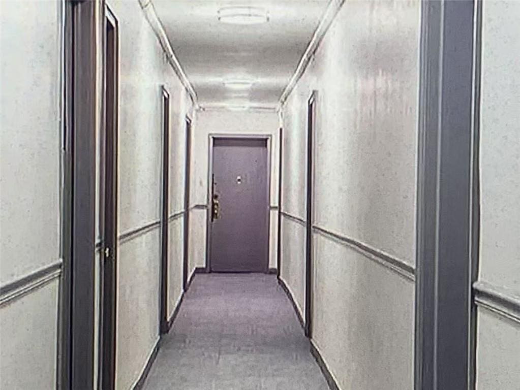 2035 E 7th St Unit 3J, Brooklyn, NY 11223 - hall with carpet floors and crown molding