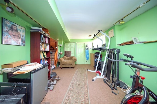 workout area featuring carpet