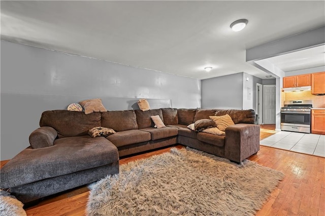 living area with light wood-style flooring