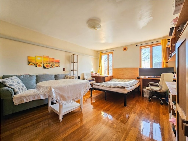 living room featuring hardwood / wood-style flooring
