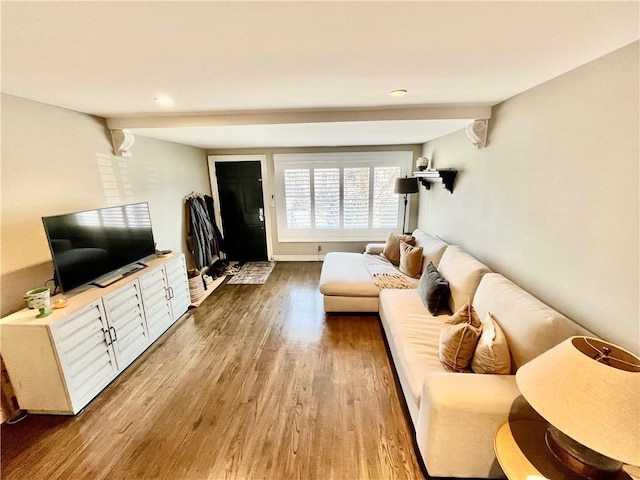 living area with wood finished floors