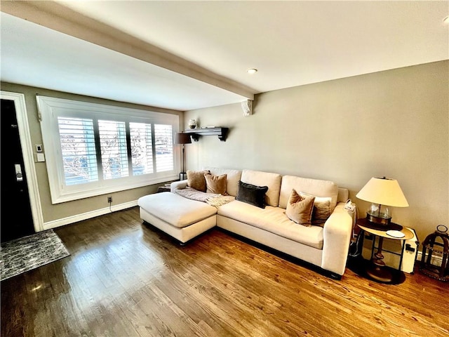 living room with baseboards and wood finished floors