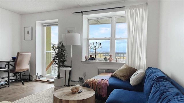 living room featuring wood finished floors, a healthy amount of sunlight, and a baseboard radiator