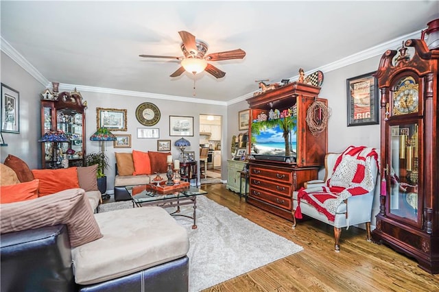 living room featuring ornamental molding, ceiling fan, and wood finished floors