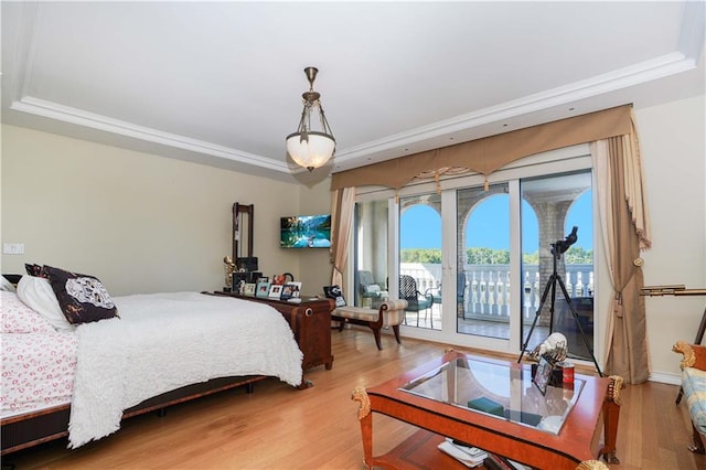 bedroom featuring a tray ceiling, light wood-style floors, and access to exterior