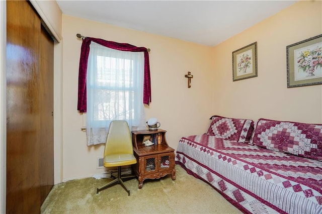 bedroom with a closet and carpet floors