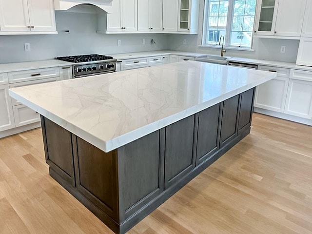 kitchen featuring under cabinet range hood, light wood-type flooring, high end stove, and white cabinets