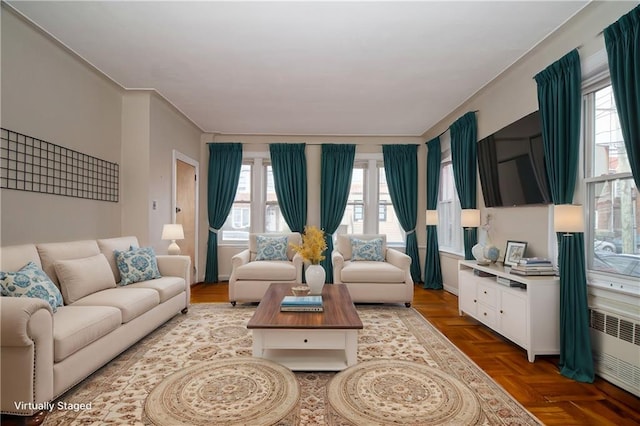 living room featuring radiator heating unit