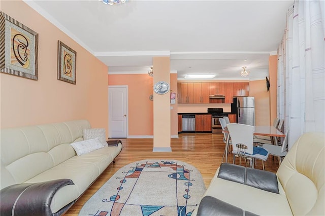 197 Bay 47th St Unit 5, Brooklyn, NY 11214 - living area featuring light wood-style flooring, crown molding, and baseboards