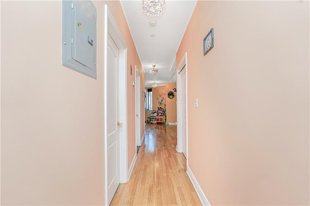 197 Bay 47th St Unit 5, Brooklyn, NY 11214 - corridor with electric panel, light wood finished floors, and baseboards