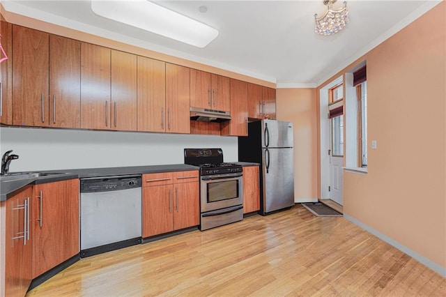 197 Bay 47th St Unit 5, Brooklyn, NY 11214 - kitchen with stainless steel appliances, a sink, under cabinet range hood, light wood-style flooring, and dark countertops