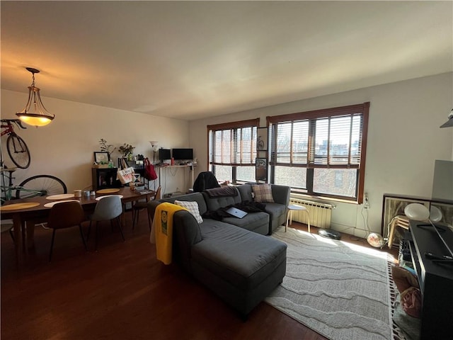 living room featuring wood finished floors, plenty of natural light, and radiator heating unit