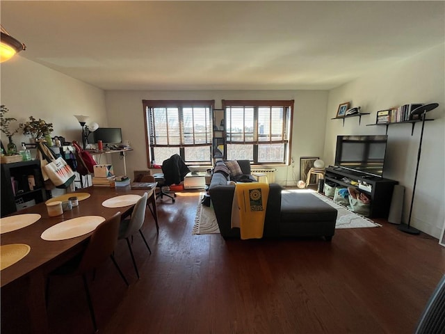 living area featuring radiator heating unit and wood finished floors