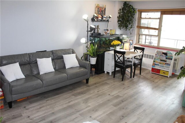 12399 Flatlands Ave Unit 6L, Brooklyn, NY 11207 - living room with wood finished floors