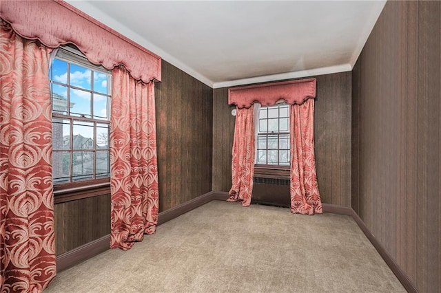 8044 Narrows Ave, Brooklyn, NY 11209 - carpeted empty room featuring wood walls and baseboards