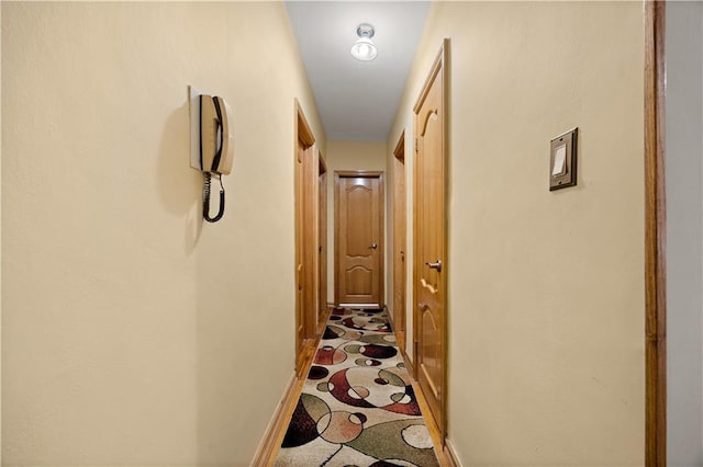 2260 Benson Ave Unit 5C, Brooklyn, NY 11214 - corridor with baseboards