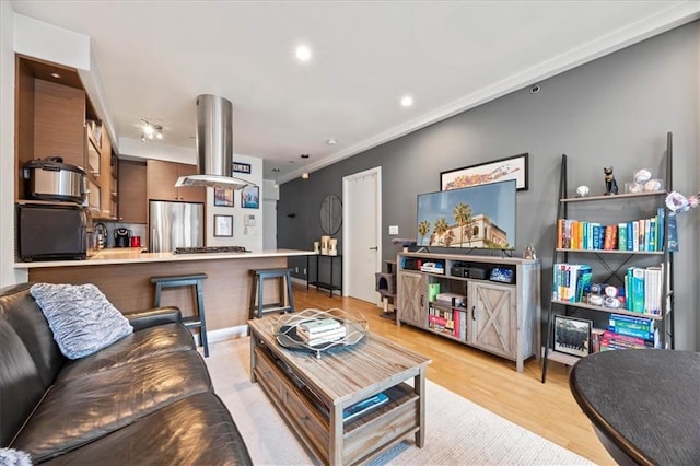 282 21st St Unit 2C, Brooklyn, NY 11215 - living area with light wood-style floors, recessed lighting, and ornamental molding