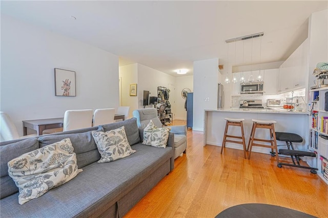 living area featuring light wood finished floors