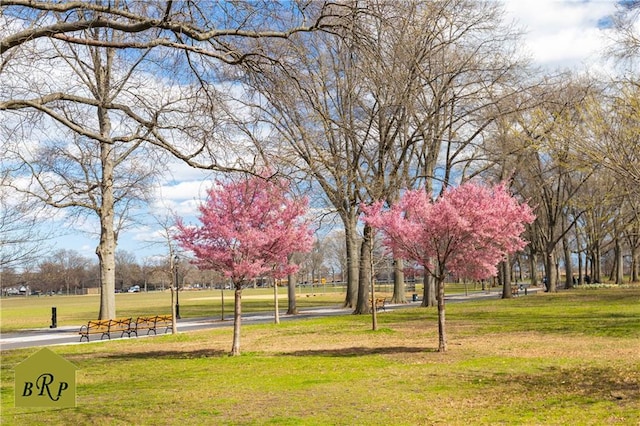 view of community featuring a lawn