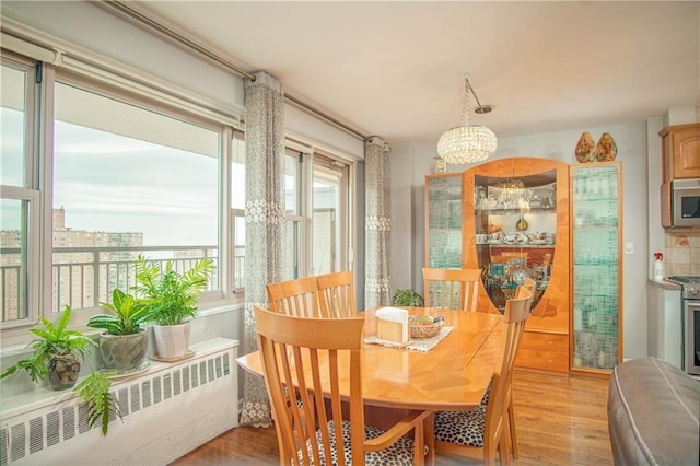 2935 W 5th St Unit 22G, Brooklyn, NY 11224 - dining room featuring radiator heating unit, a chandelier, and light wood-type flooring