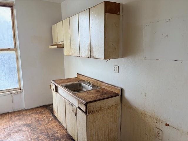 kitchen with under cabinet range hood and a sink