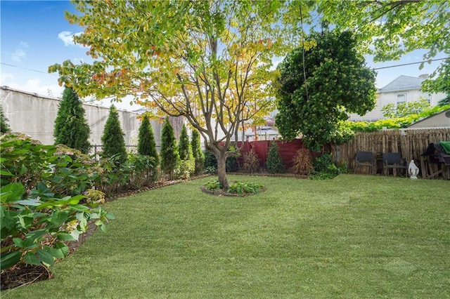 view of yard featuring a fenced backyard