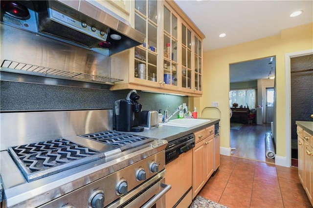 kitchen with tile patterned floors, a sink, glass insert cabinets, gas stove, and dishwasher