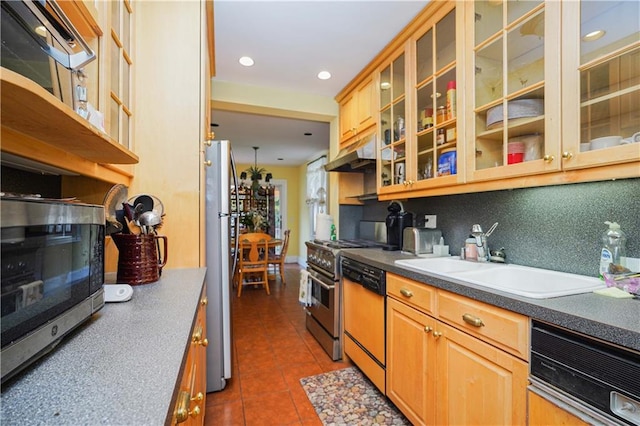 kitchen featuring a sink, glass insert cabinets, dark tile patterned flooring, under cabinet range hood, and appliances with stainless steel finishes