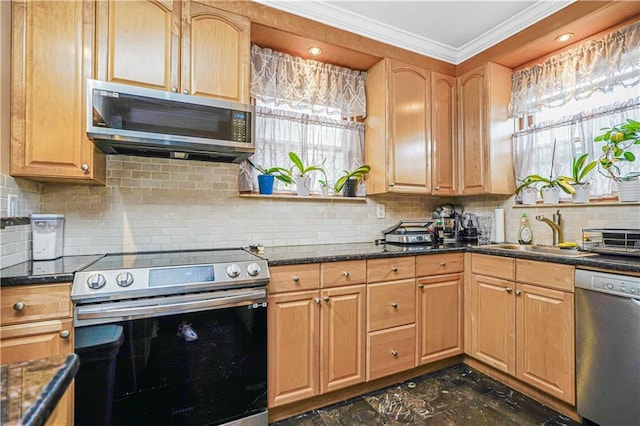 kitchen with appliances with stainless steel finishes, a sink, ornamental molding, plenty of natural light, and backsplash