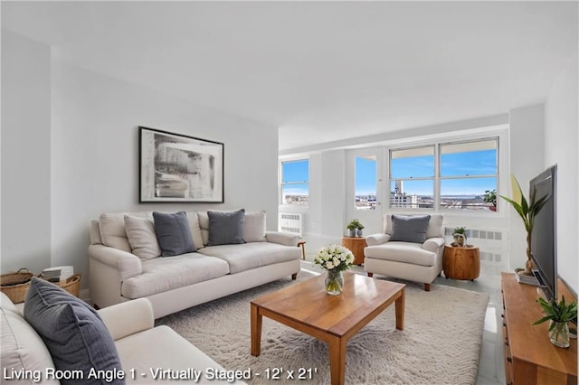 35 Seacoast Ter Unit 16D, Brooklyn, NY 11235 - view of living area