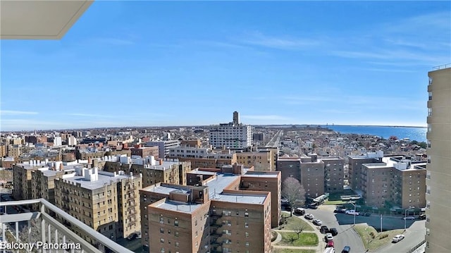 35 Seacoast Ter Unit 16D, Brooklyn, NY 11235 - view of city
