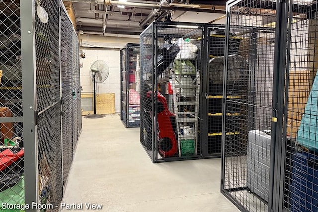 35 Seacoast Ter Unit 16D, Brooklyn, NY 11235 - view of storage