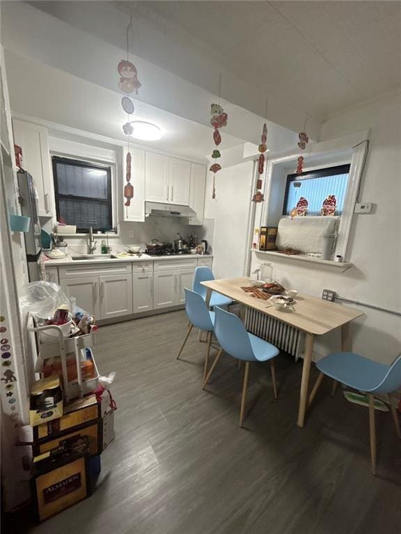 dining room featuring wood finished floors