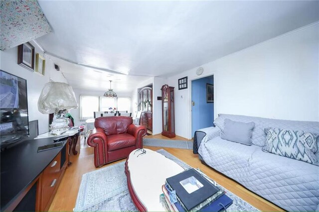 2939 Brighton 3rd St, Brooklyn, NY 11235 - living room featuring light wood-type flooring