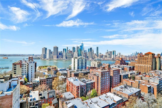 173 Hicks St Unit 4E, Brooklyn, NY 11201 - view of city skyline featuring a large body of water