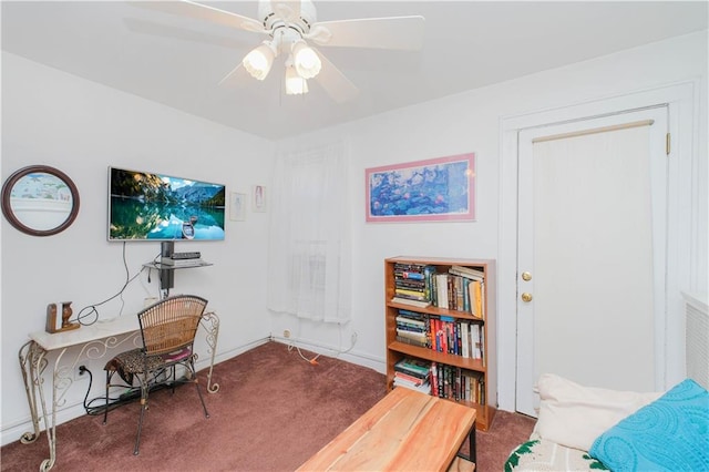 266 Wakeman Pl, Brooklyn, NY 11220 - carpeted office space with ceiling fan and baseboards