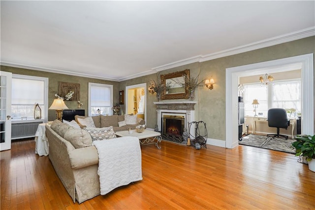living area with wood-type flooring, crown molding, radiator, an inviting chandelier, and a fireplace with flush hearth