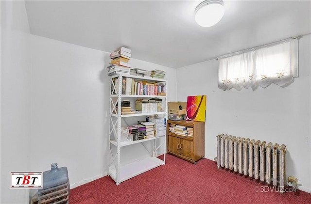 1378 E 93th St, Brooklyn, NY 11236 - miscellaneous room with radiator and carpet
