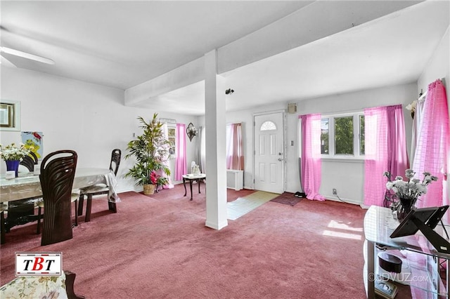 1378 E 93th St, Brooklyn, NY 11236 - living area with carpet and baseboards