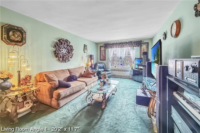 living room with carpet and radiator heating unit